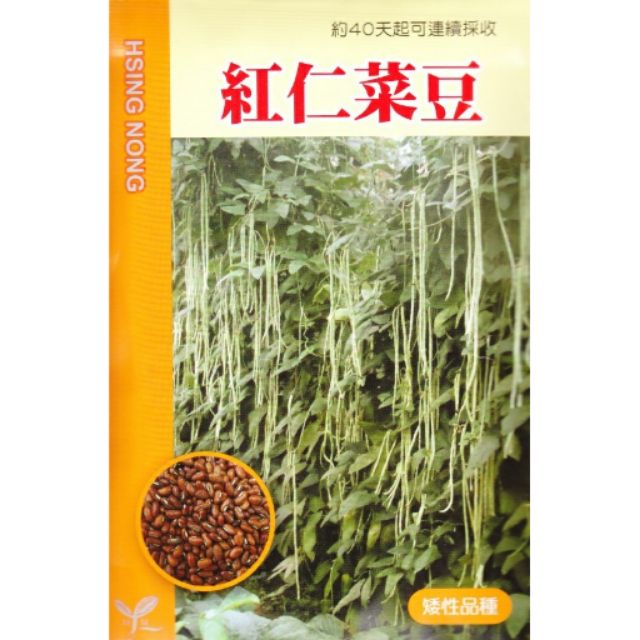 尋花趣 紅仁菜豆【蔬果種子】 興農牌 中包裝種子 約5公克/包