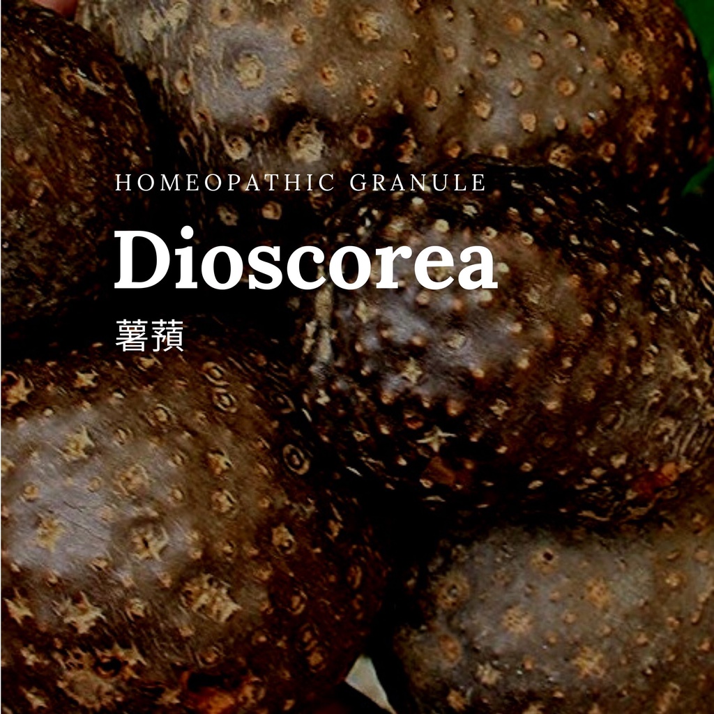 順勢糖球【薯蕷●Dioscorea】Homeopathic Granule 9克 食在自在心空間