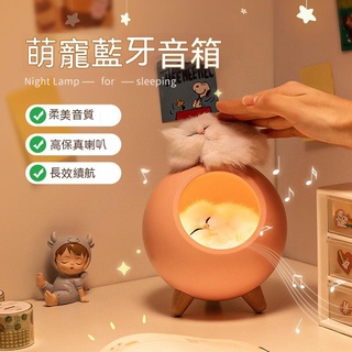 【臺灣現貨】新款調光寵屋氛圍燈 床頭led餵奶燈桌麵裝飾3d小夜燈爆品推薦