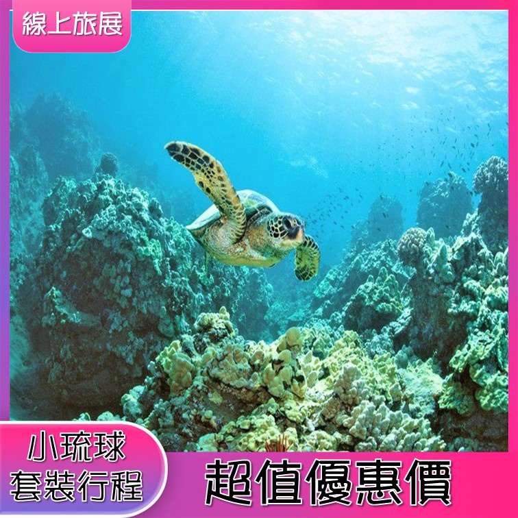 小琉球海龜浮潛.深淺.SUP.透明獨木舟.潮間帶體驗