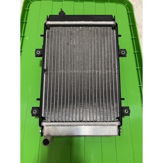 SYM joymax Z300 九妹 水箱 散熱器風扇