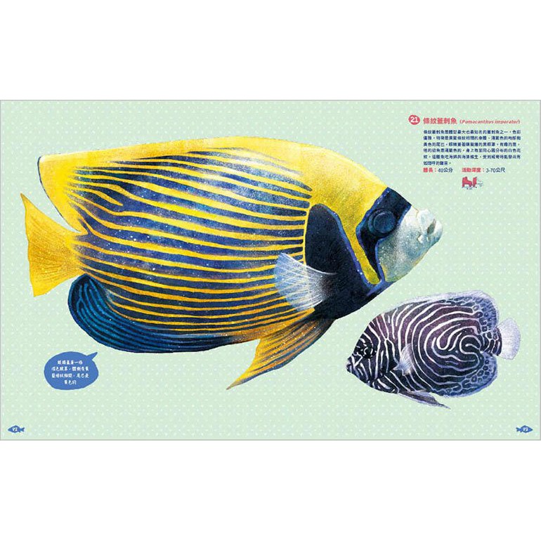 世界上有哪些魚 魚類 海洋動物與牠們生活的大海 蝦皮購物