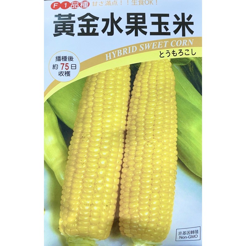 ［大信農產行］黃金水果玉米 種子每包12公克