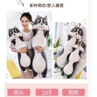 12/12超商199免運現貨臺灣🎁可愛哈士奇長條抱枕 夾腿抱枕 睡覺抱枕 長條娃娃 長抱枕 長枕頭 哈士奇抱枕 狗狗