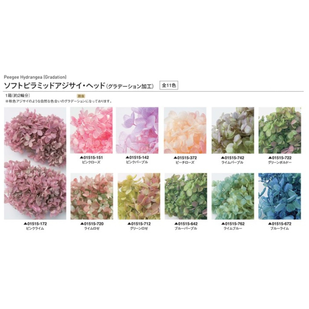 Truly 可刷卡 大地農園永生花 不凋花小葉雙色漸層繡球花紫陽花 拆盒 滿額另有折扣 蝦皮購物
