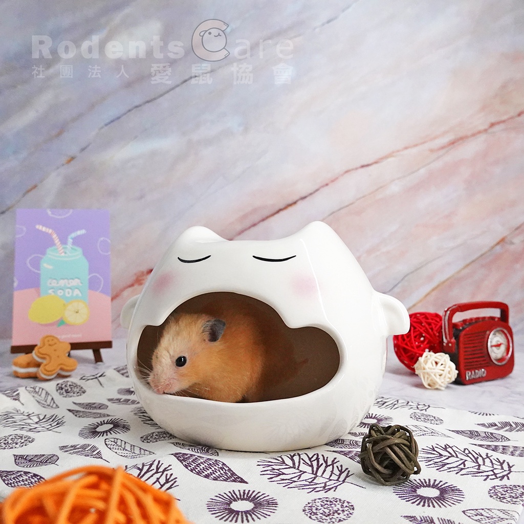 愛鼠協會［造型陶瓷窩］優豆-天使陶瓷窩 陶瓷 躲避屋 躲避窩 黃金鼠 造型窩 鼠窩 造型布置🐹