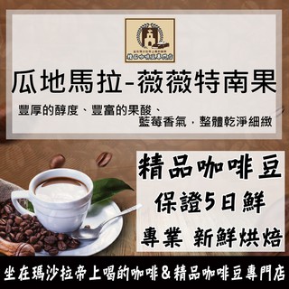 新鮮烘焙 保證5日鮮 瓜地馬拉・薇薇特南果／瓜地馬拉・將軍莊園 甜橙BW 咖啡豆 0.5磅 227g 精品豆 莊園豆單品