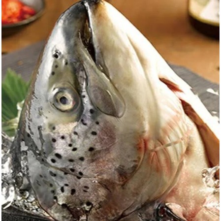 阿偉師水產 ［海味嚴選］鮮嫩半鮭魚頭✦滿2000元免運~~~✦