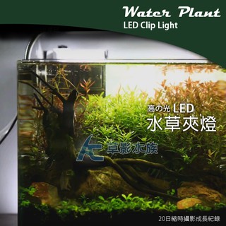 【AC草影】ISTA 伊士達 高之光 水草夾燈（19cm）【一個】魚缸燈具 led燈具 高之光夾燈 LED 水族燈