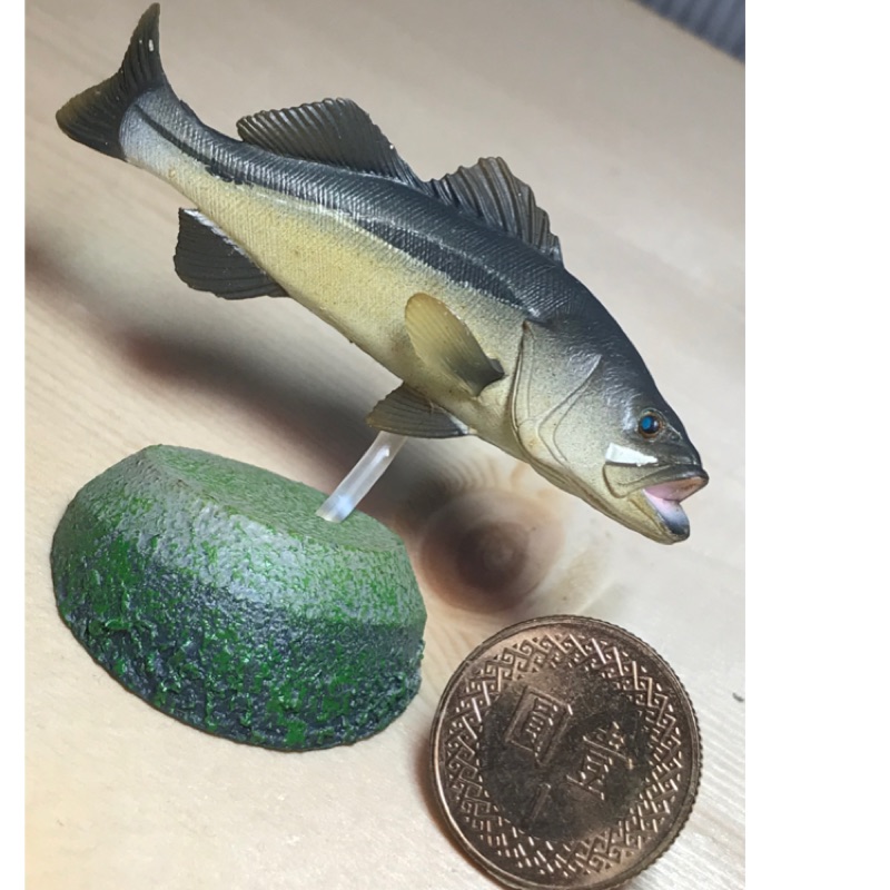 278 櫻田門 海洋堂魚日本水族館淡水魚扭蛋轉蛋盒玩實拍 蝦皮購物