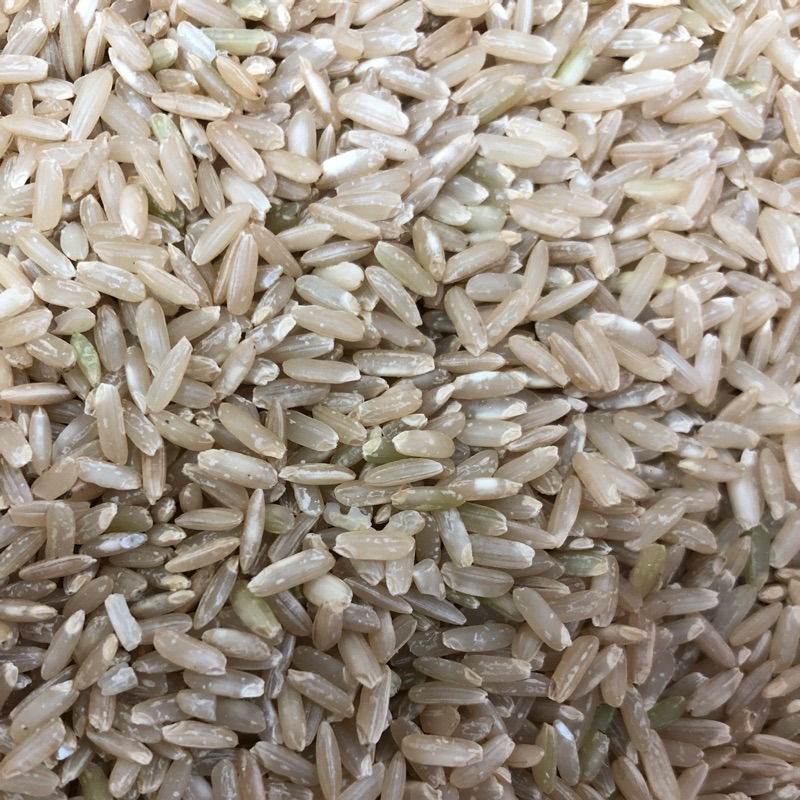 精選秈稻糙米(長糙米)300g/600g 台灣特選上米 營養養身