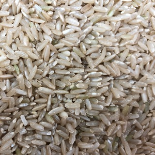 精選秈稻糙米(長糙米)300g/600g 台灣特選上米 營養養身