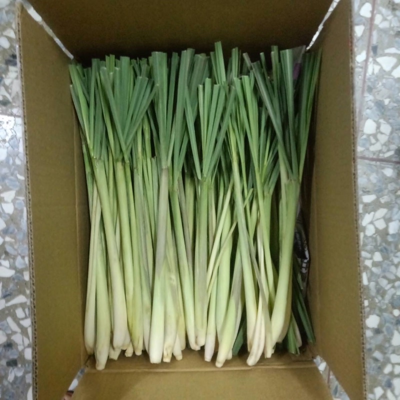 新鮮香茅 自產自銷半斤50元（每單限量6斤）