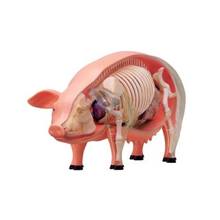玩得購【4D MASTER】立體拼組模型-半透視豬 622023