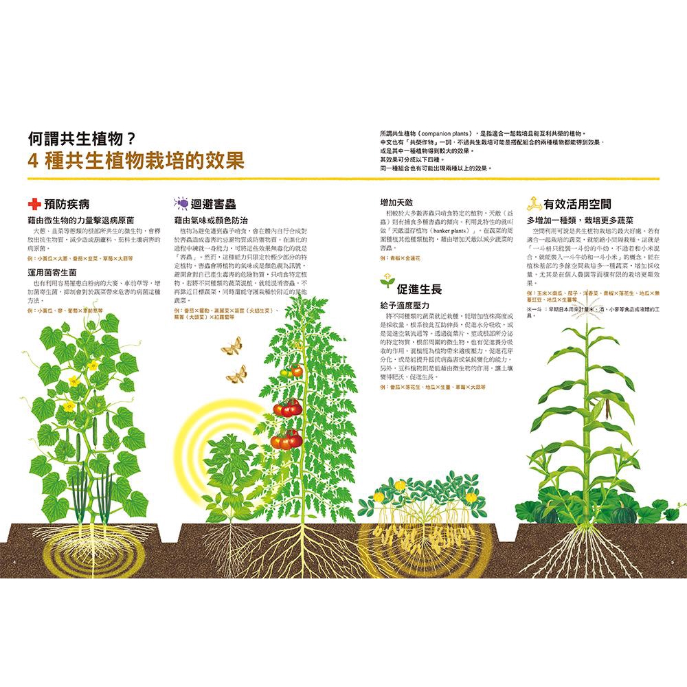 蔬果花草共生祕訣 拒絕農藥 掌握履歷 讓蔬菜長更好 更抗病蟲害 木嶋利男誠品eslite 蝦皮購物