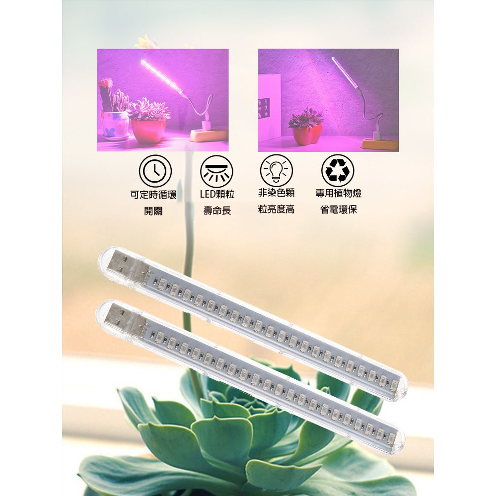 5V 植物燈 USB 室內植物燈 多肉植物燈 盆栽燈 室內盆栽 led植物燈 植物 補光 生長 可自動控制 定時