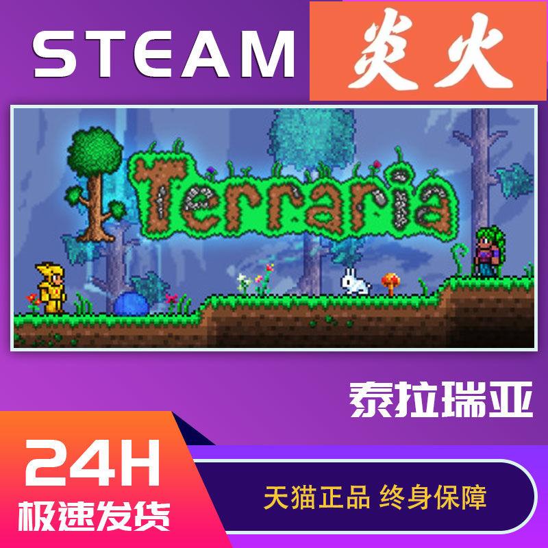Pc中文正版steam平臺國區沙盒聯機游戲泰拉瑞亞terraria 蝦皮購物