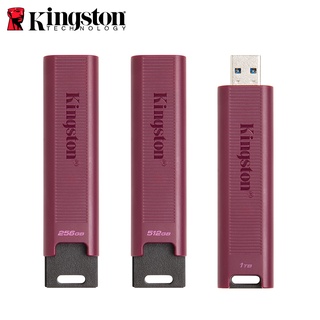 金士頓 KINGSTON 256G 512G 1TB DataTraveler Max Type-C 高速 隨身碟