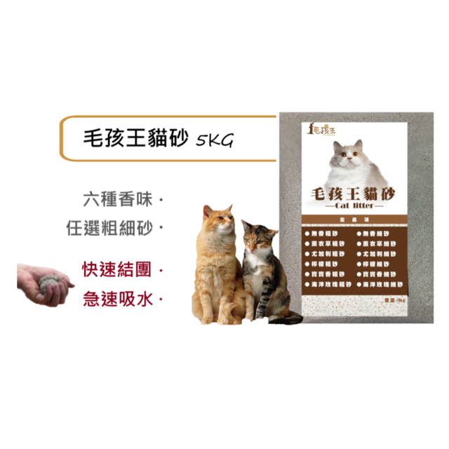 毛孩王凝結式貓砂粗砂 細砂5kg 六款可選新舊包裝混合出貨貓咪寵物蝦皮超市現貨 蝦皮購物