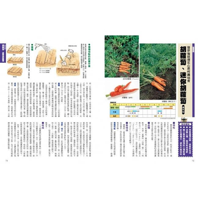 新手種菜100招 自己種出70種家常菜 蝦皮購物