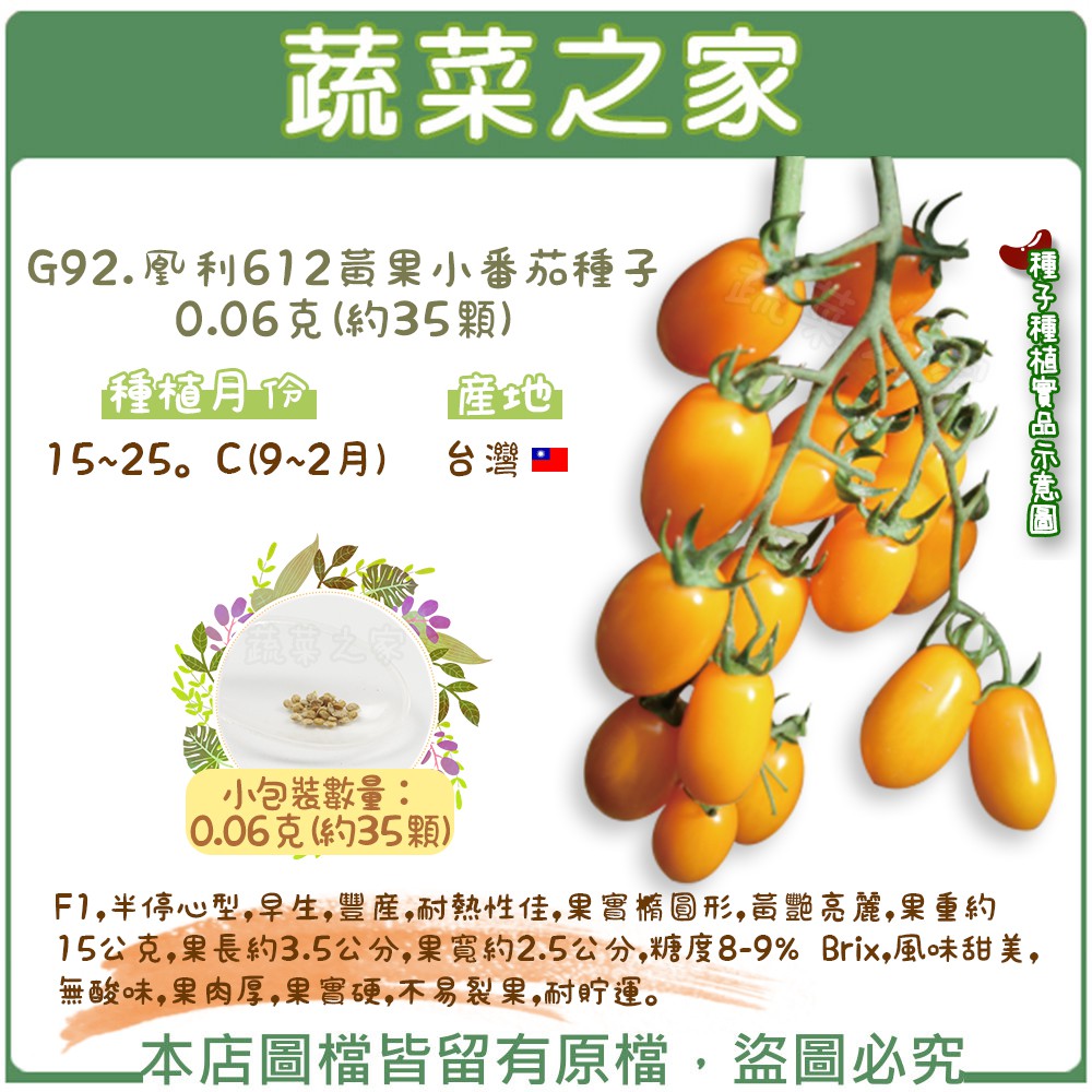 【蔬菜之家滿額免運】G92.凰利612黃果小番茄種子0.06克(約35顆)(F1,半停心型,早生,豐產,耐熱性佳,果實橢