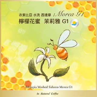陽光夏 濾掛式咖啡 (淺烘焙)/ 水洗西達摩 茉莉雅 檸檬花蜜 G1