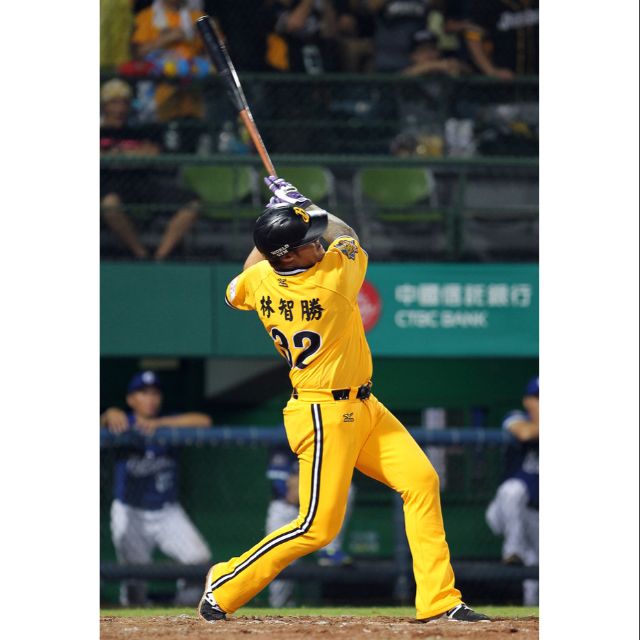 中信兄弟Mizuno Pro球員版實戰直桶黃色棒球褲