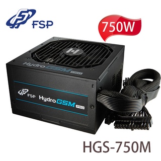 【3CTOWN】含稅附發票 FSP全漢 750W HGS-750M 80PLUS金牌 半模組化 電源供應器