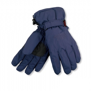 SNOWTRAVEL POLARTEC保暖透氣雙層防風手套 (藍色)[STAR020-BLU]