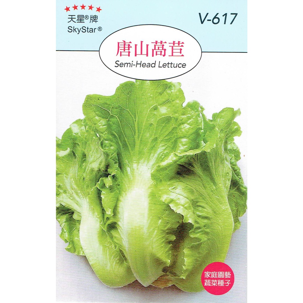 尋花趣 唐山萵苣(Semi-Head Lettuce)【蔬果種子】天星牌 小包裝種子