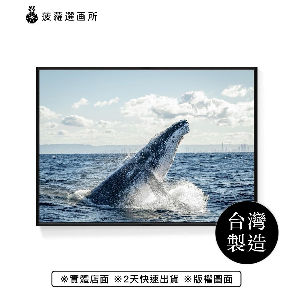 大翅鯨 – 飛躍 - 療癒動物鯨魚掛畫/海洋生物/大自然/菠蘿選畫所