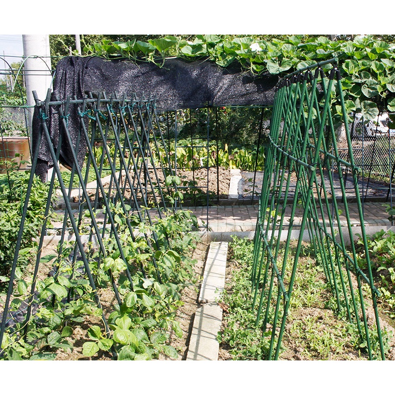 免運 園藝植作用品園藝支柱爬藤支架桿花支架植物支架固定庭院爬藤架瓜果種菜支撐桿 蝦皮購物
