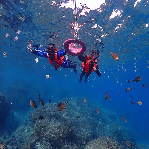 小琉球熊潛水-小琉球與海龜共遊浮潛體驗