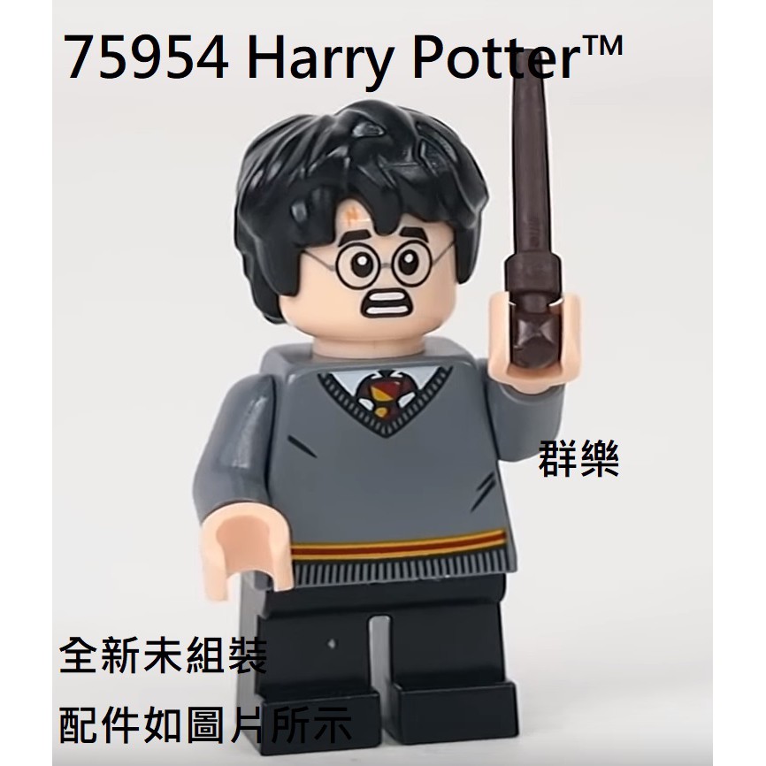 【群樂】LEGO 75954 人偶 Harry Potter™ 現貨不用等
