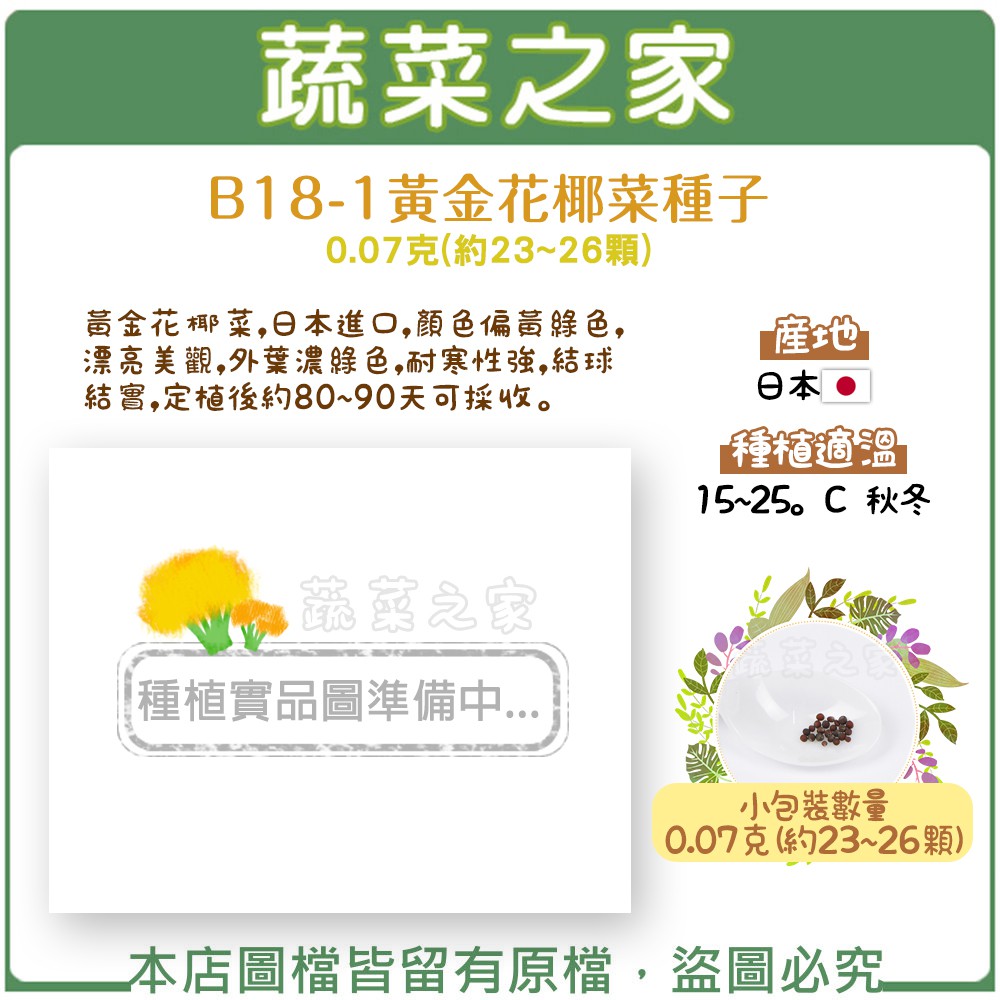 【蔬菜之家滿額免運】B18-1.黃金花椰菜種子0.07克(約23~26顆)黃金花椰菜 ，日本進口，顏色偏黃綠色，漂亮美觀