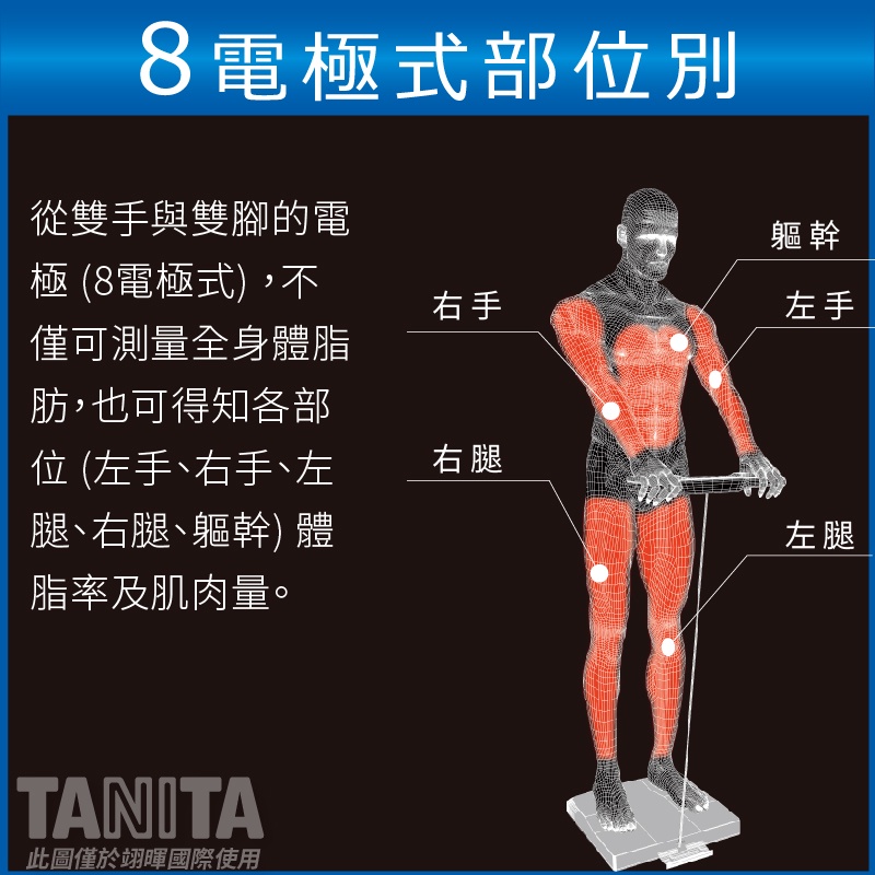 【TANITA】日本製十合一八點式體組成計BC-545N