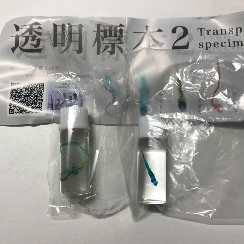 透明魚標本 優惠推薦 21年9月 蝦皮購物台灣