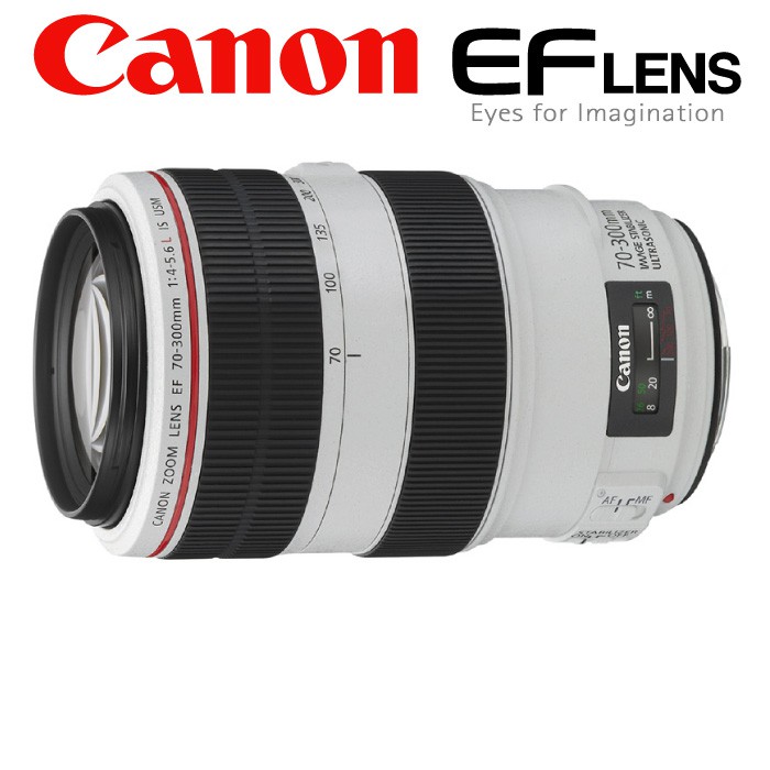 【高雄四海】Canon EF 70-300mm F4-5.6 L USM IS 全新平輸．一年保固．胖白．望遠防手震L鏡