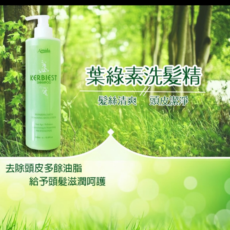 Amida 葉綠素洗髮精 500ml