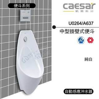 附發票 含稅 CAESAR凱撒 U0264/A637 中型掛壁式便斗 小便斗 純白《中部免運》【東益氏】