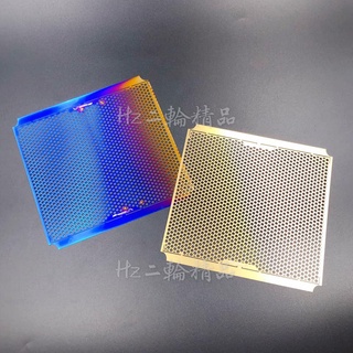 APEXX 鍍鈦 黃金 水箱護網 勁戰 六代 七代 水冷BWS NMAX FORCE 2.0 DRG KRV 水箱濾網
