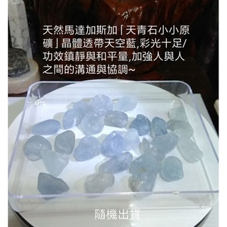 天然馬達加斯加「天青石小小原礦」晶體透亮帶海藍晶體,彩光十足/功效鎮靜與和平量,加強人與人之間的溝通與協調~