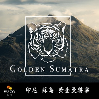 韋克精品咖啡【印尼 蘇島 黃金曼特寧】現烘咖啡豆 手沖 虹吸 冰滴 摩卡壺 水洗 日曬 單品
