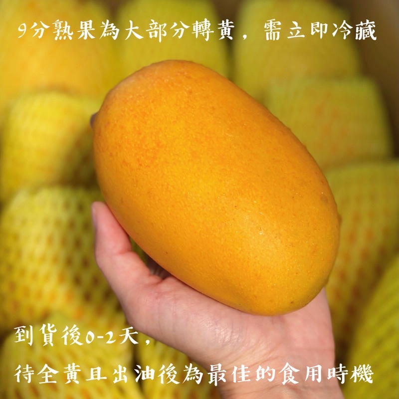 免運可刷卡l 夏雪芒果l 在欉黃l 台東太麻里l 芒果l 愛文芒果l 產地直送l 水果l 金煌芒果l禮盒 蝦皮購物