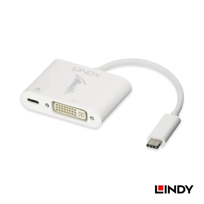 LINDY 林帝 主動式 USB3.1 TYPE-C TO DVI轉接器帶PD功能 (43195)