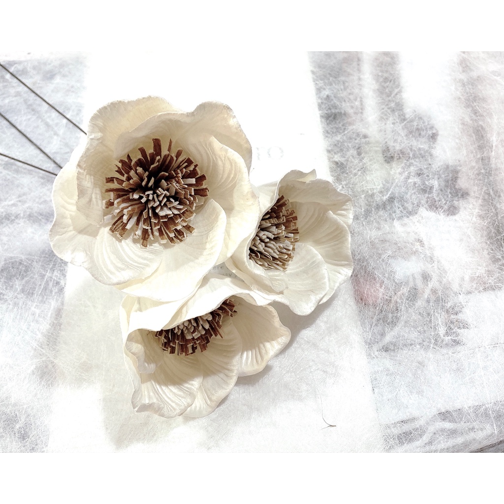 夏 花charice Flora 乾燥花 乾燥花材 索拉花 罌粟花 索拉罌粟花 通草花 手工花 手作素材 乾燥花素材 蝦皮購物