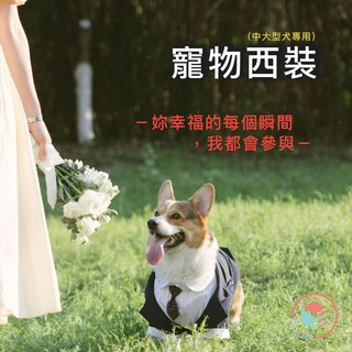 🌟CUBE STORE🌟 寵物西裝 一件式 禮服 正裝 韓國歐巴 白襯衫 婚禮 寵物衣服 寵物禮服 狗衣服 大型犬西裝