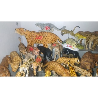 海洋動物模型模擬玩具