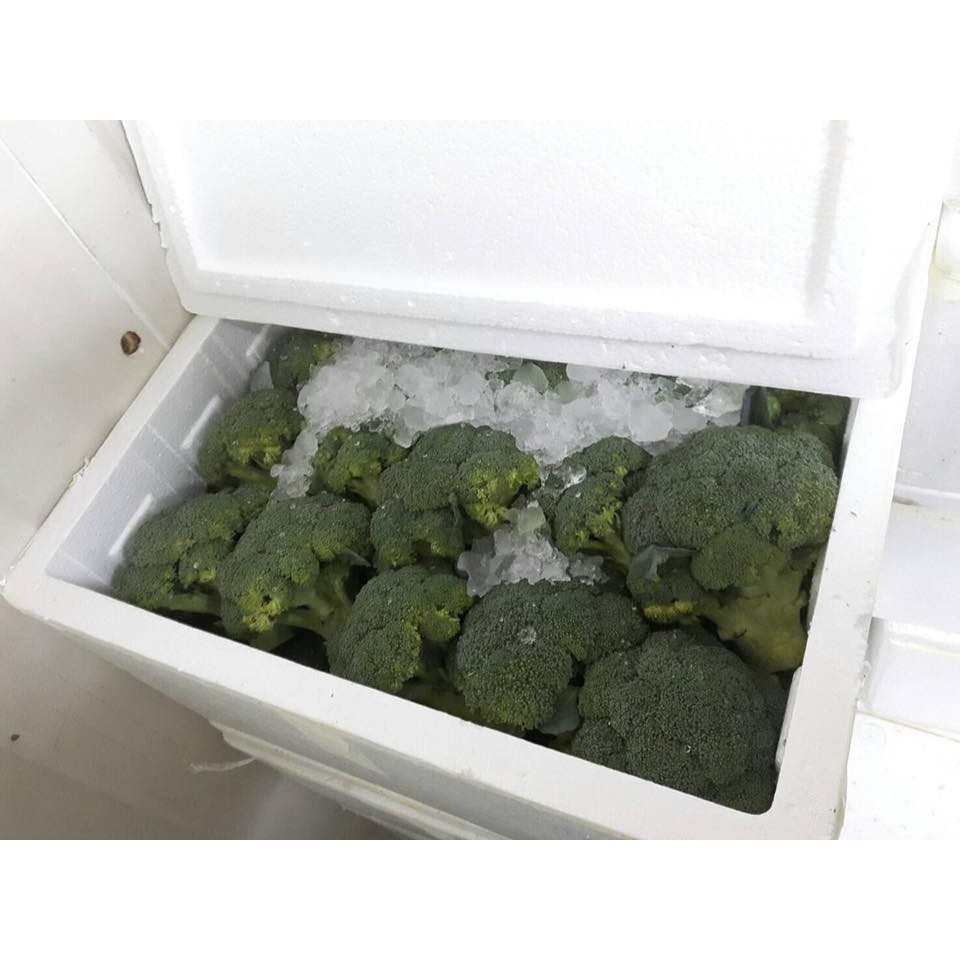 高雄經銷第一手青花菜 花椰菜 蔬菜 水果 蝦皮購物