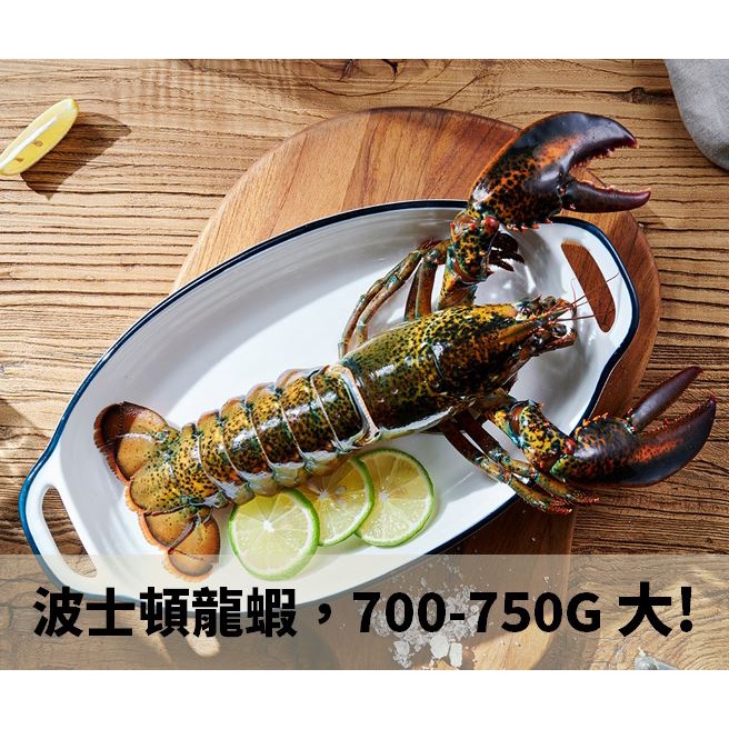 【水產大叔】超大 波士頓龍蝦   每隻700-750G/波龍/冷凍